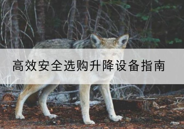 崖州升降货梯厂家推荐-*安全选购升降设备指南