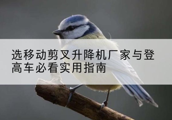 崖州电动升降机厂家-选移动剪叉升降机厂家与登高车必看实用指南